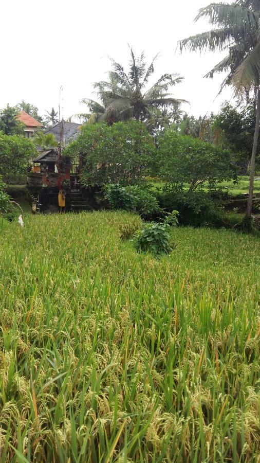 Pondok Tulasi Semaya House Payangan Kültér fotó