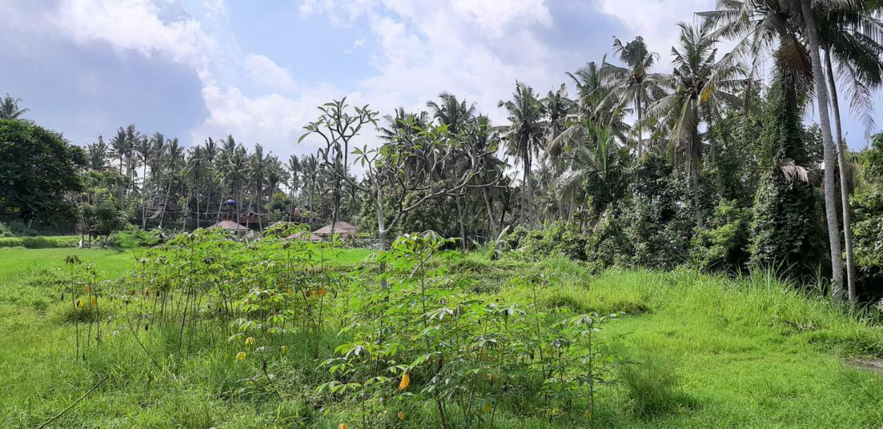 Pondok Tulasi Semaya House Payangan Kültér fotó