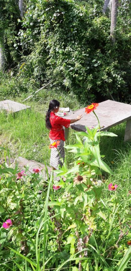 Pondok Tulasi Semaya House Payangan Kültér fotó