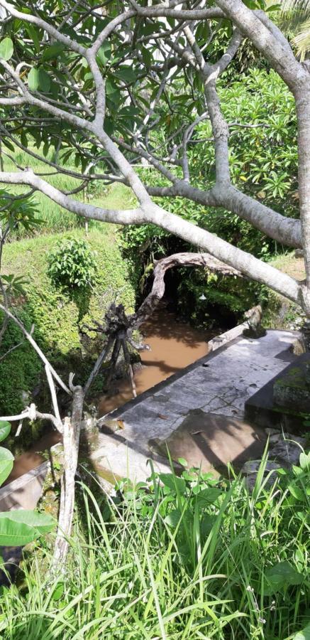 Pondok Tulasi Semaya House Payangan Kültér fotó